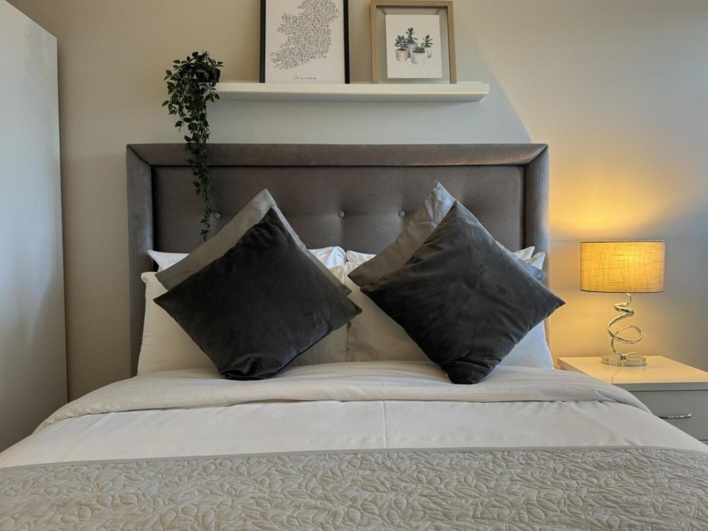 Central Belfast Apartments Sandford Экстерьер фото